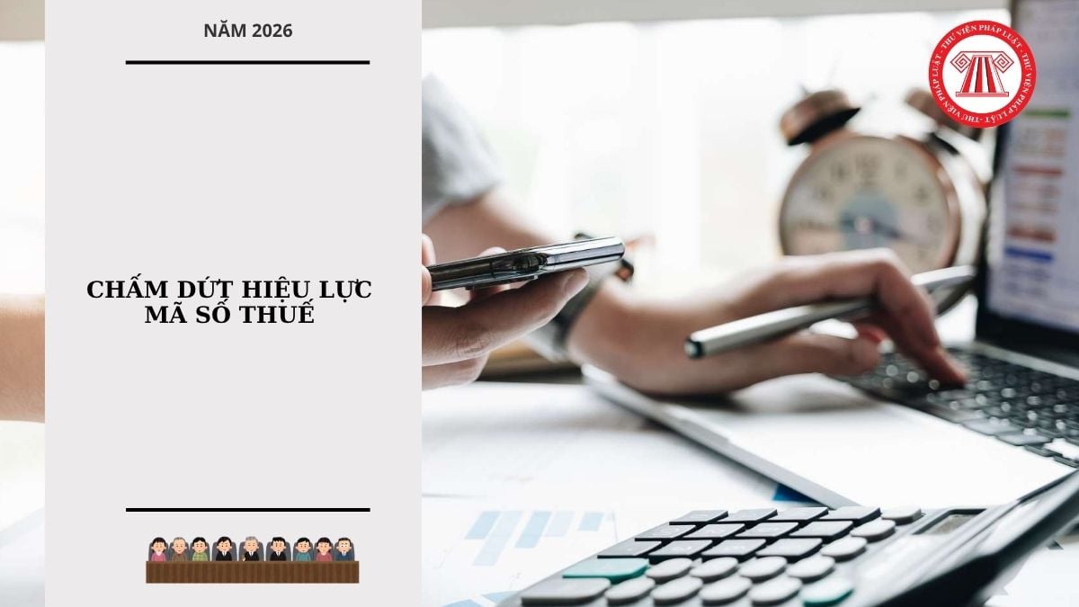 Hỏi đáp Pháp luật