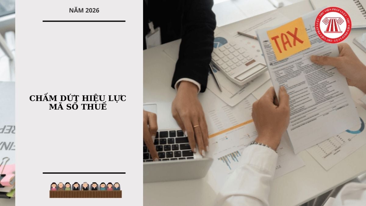 Hỏi đáp Pháp luật