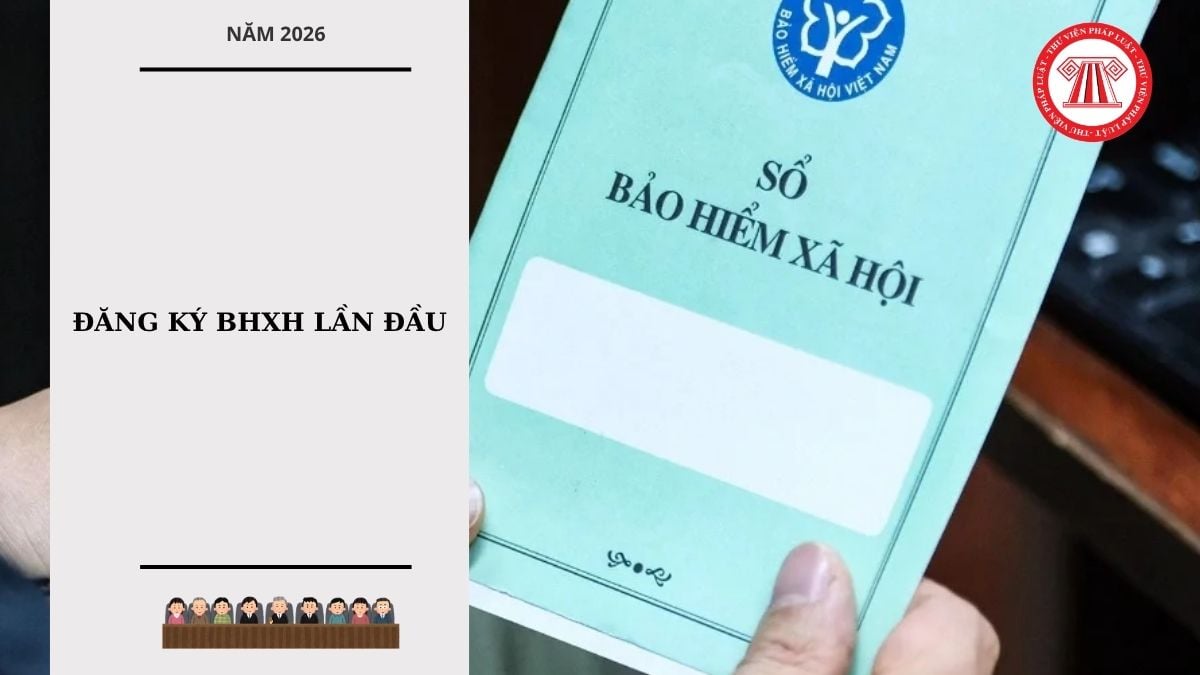 Hỏi đáp Pháp luật