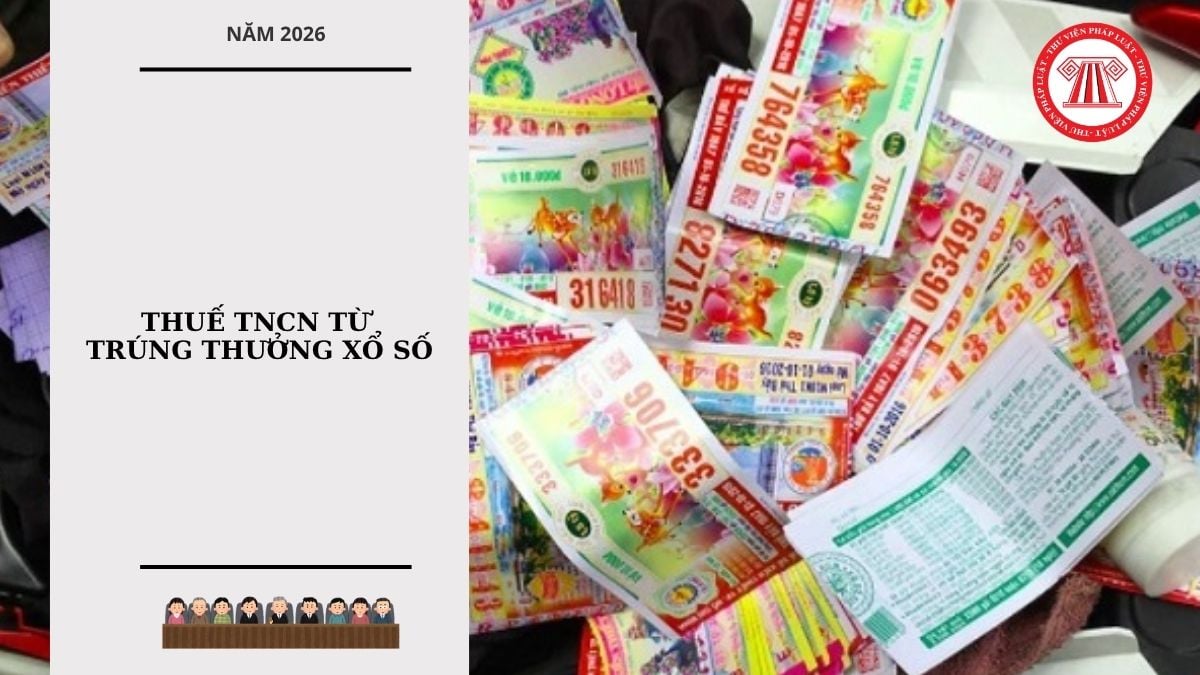 Hỏi đáp Pháp luật