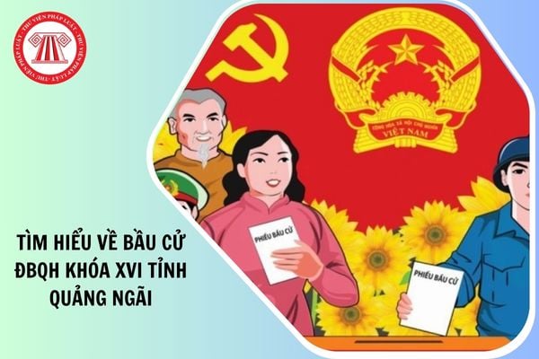 Đáp án cuộc thi Tìm hiểu về bầu cử đại biểu Quốc hội khóa XVI và đại biểu Hội đồng nhân dân các cấp tỉnh Quảng Ngãi nhiệm kỳ 2026-2031 như thế nào?