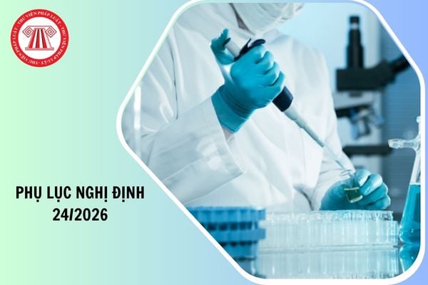 Hỏi đáp Pháp luật