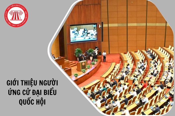 Hỏi đáp Pháp luật