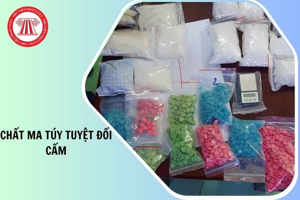 Hỏi đáp Pháp luật