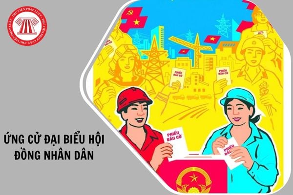 Hỏi đáp Pháp luật
