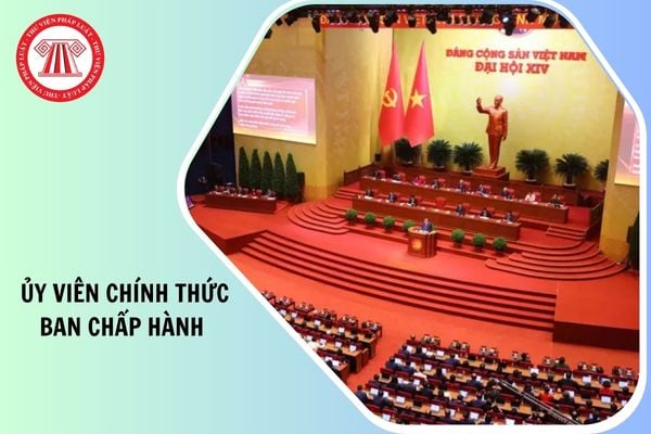Hỏi đáp Pháp luật