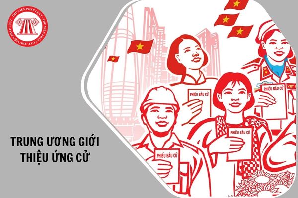 Hỏi đáp Pháp luật