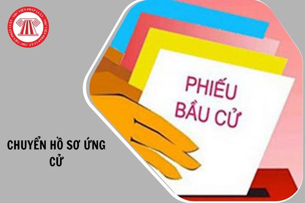 Hỏi đáp Pháp luật