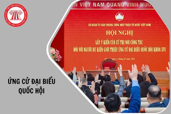 Hỏi đáp Pháp luật