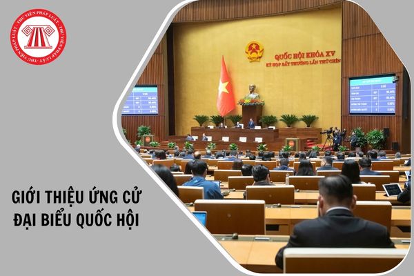 Hỏi đáp Pháp luật