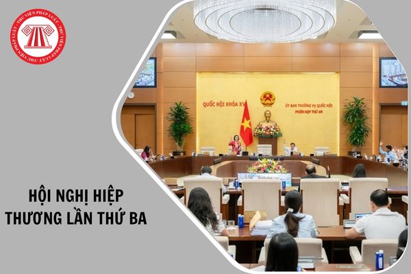 Hỏi đáp Pháp luật