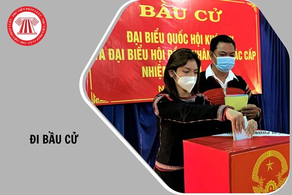 Hỏi đáp Pháp luật