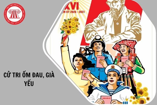 Hỏi đáp Pháp luật