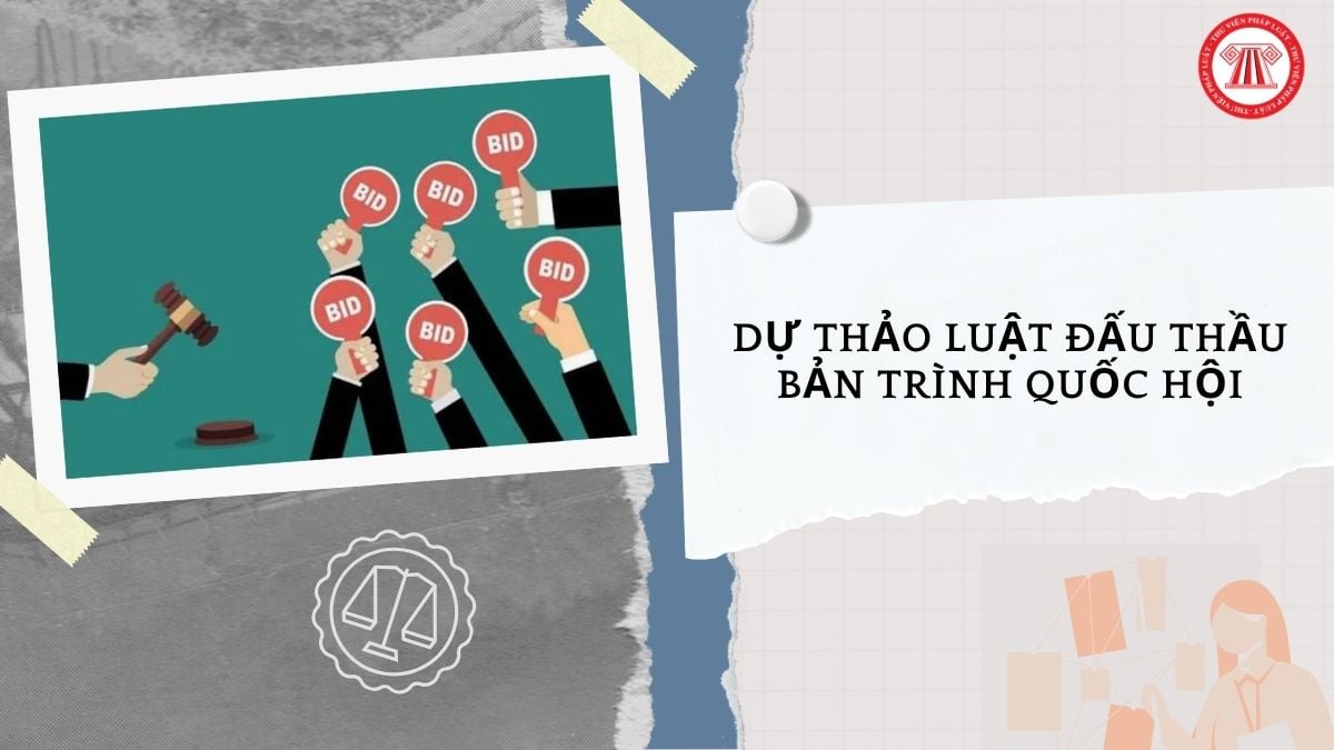 Hỏi đáp Pháp luật