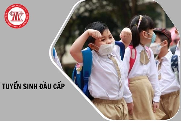 Hỏi đáp Pháp luật