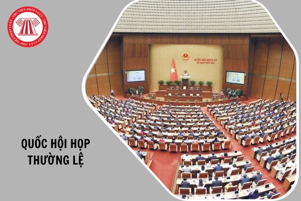 Hỏi đáp Pháp luật
