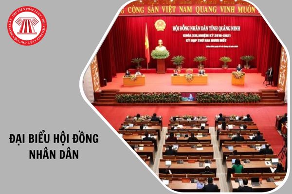 Hỏi đáp Pháp luật