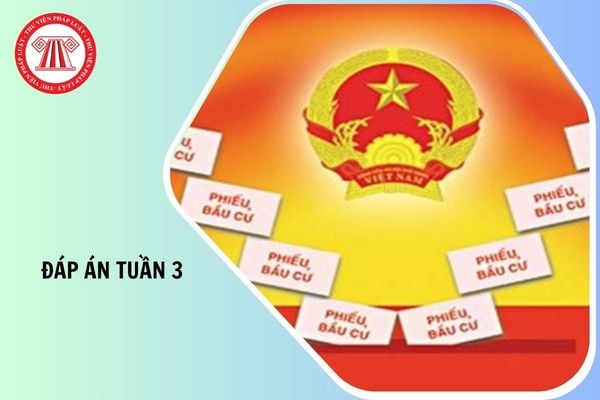 Hỏi đáp Pháp luật