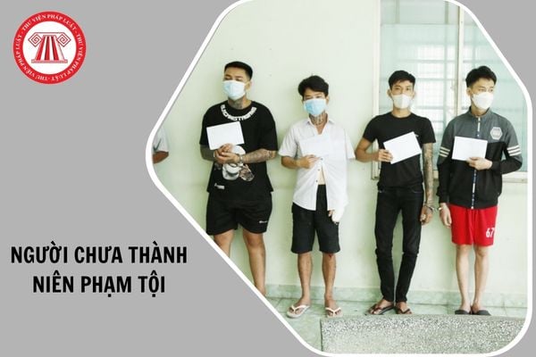 Hỏi đáp Pháp luật