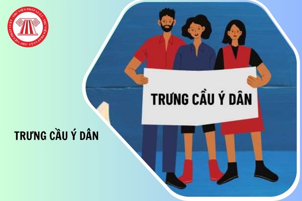 Theo Luật Tổ chức Quốc hội hiện hành, Quốc hội trưng cầu ý dân về những vấn đề gì?