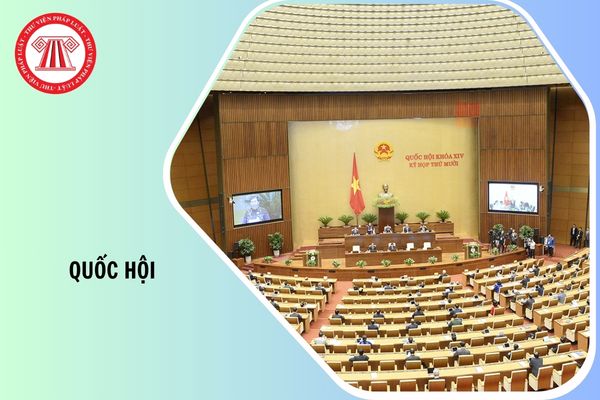 Hỏi đáp Pháp luật