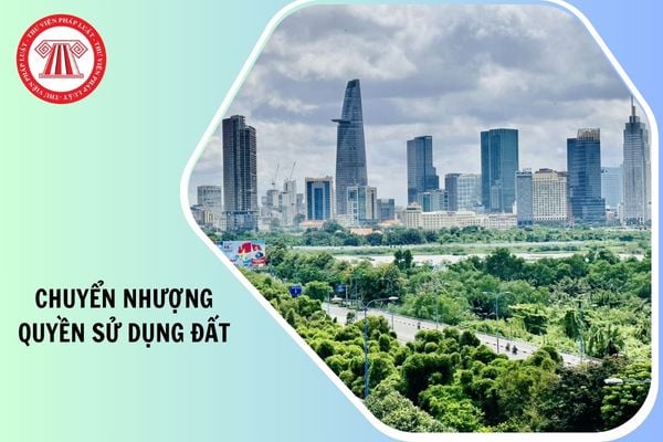 Hỏi đáp Pháp luật