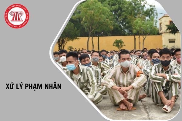 Hỏi đáp Pháp luật