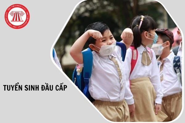 Hỏi đáp Pháp luật