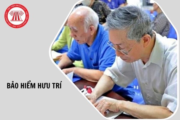 Hỏi đáp Pháp luật