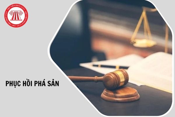 Hỏi đáp Pháp luật