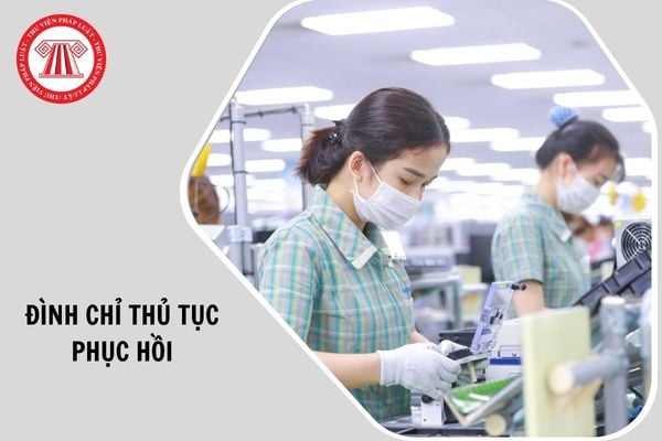 Hỏi đáp Pháp luật
