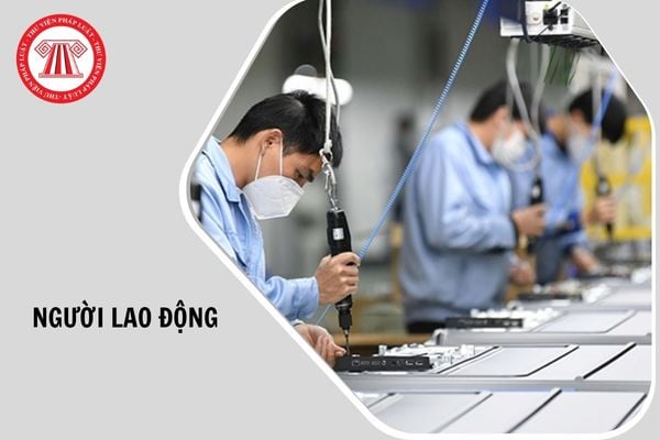 Hỏi đáp Pháp luật