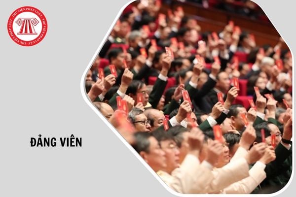 Đảng viên được kết nạp lại có phải trải qua thời gian dự bị không? 