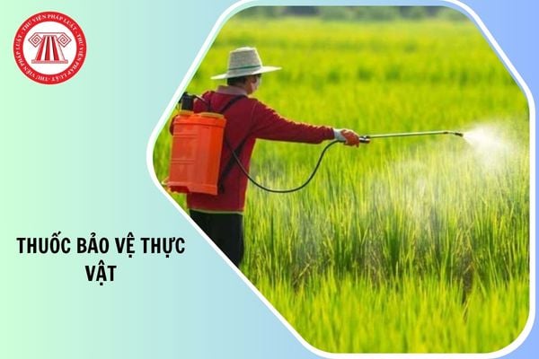 Công văn 4059/TNI-QLDN2 về thuế suất thuế GTGT đối với thuốc bảo vệ thực vật như thế nào?