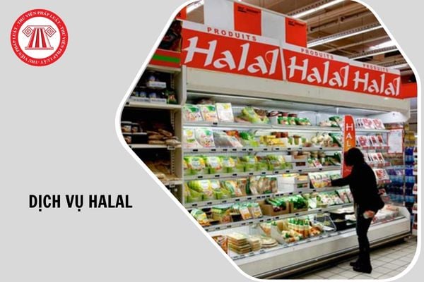 Hỏi đáp Pháp luật