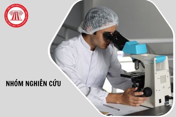 Hỏi đáp Pháp luật