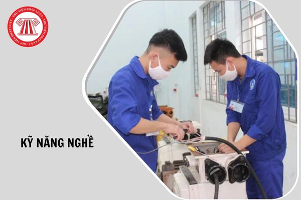 Hỏi đáp Pháp luật