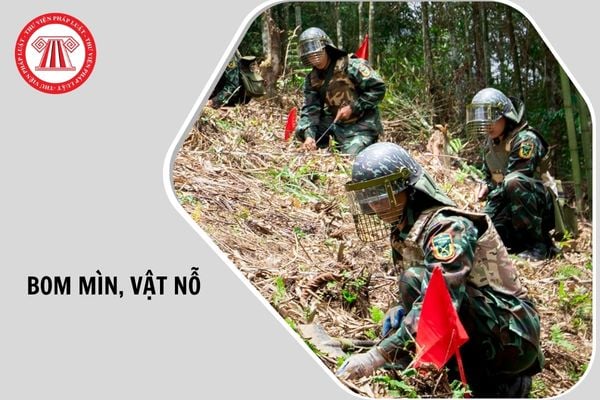Hỏi đáp Pháp luật