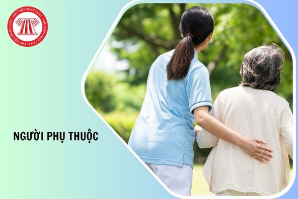 Hỏi đáp Pháp luật