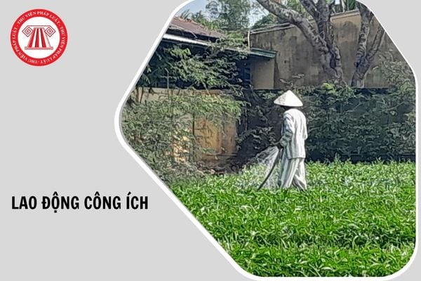 Hỏi đáp Pháp luật
