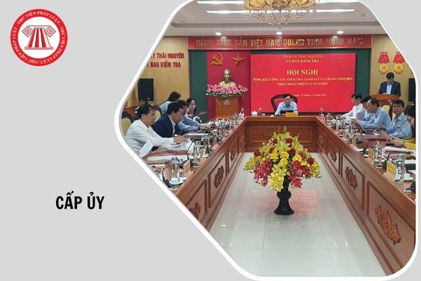 Hỏi đáp Pháp luật