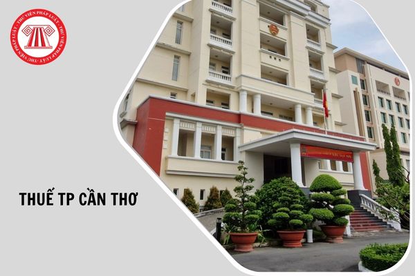 Hỏi đáp Pháp luật