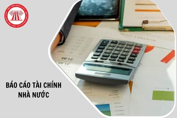 Đối tượng nào phải lập Báo cáo tài chính nhà nước?