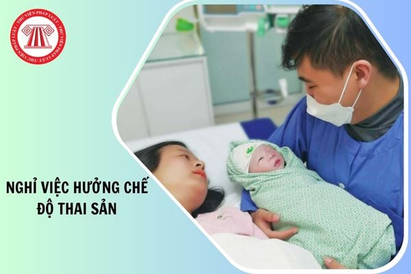 Hỏi đáp Pháp luật