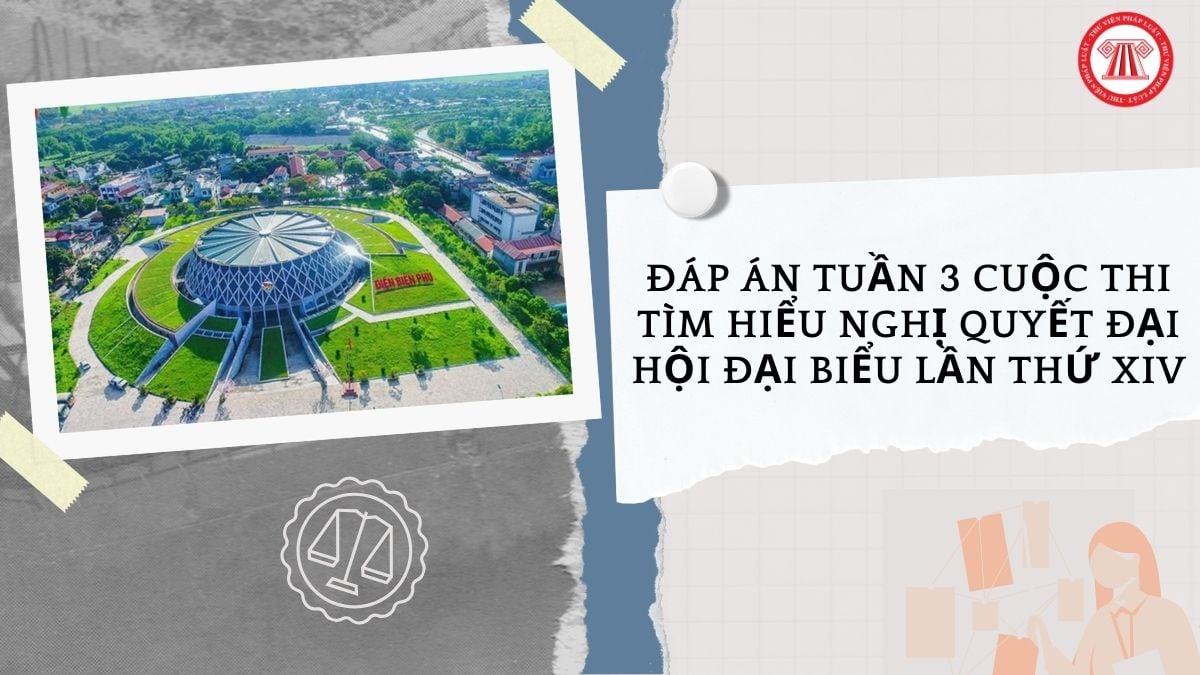 Hỏi đáp Pháp luật