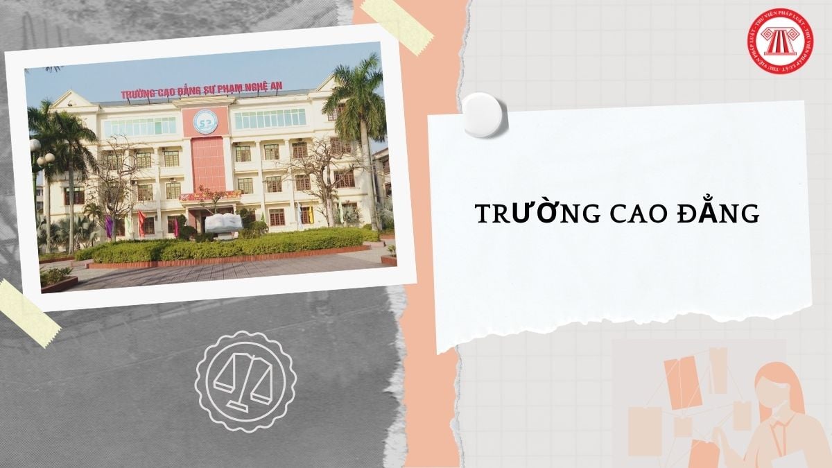 Trường cao đẳng tổ chức tuyển sinh, đào tạo chương trình gì?