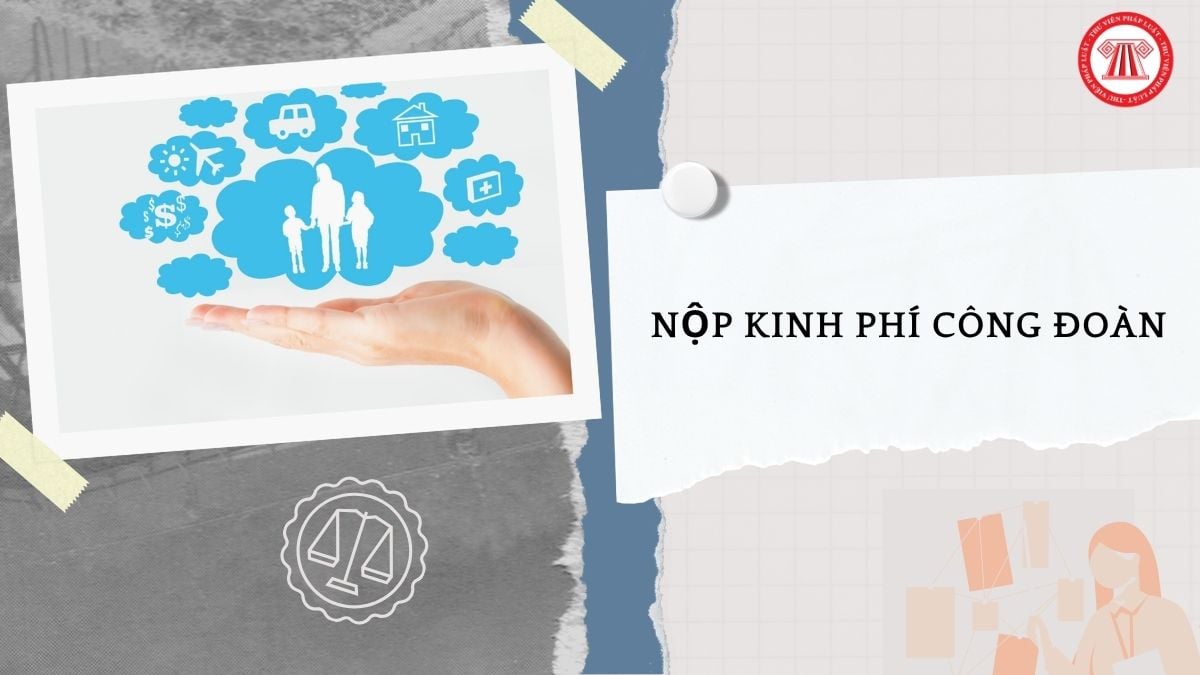 Hỏi đáp Pháp luật