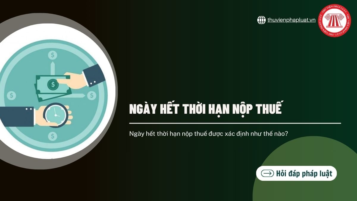 Hỏi đáp Pháp luật