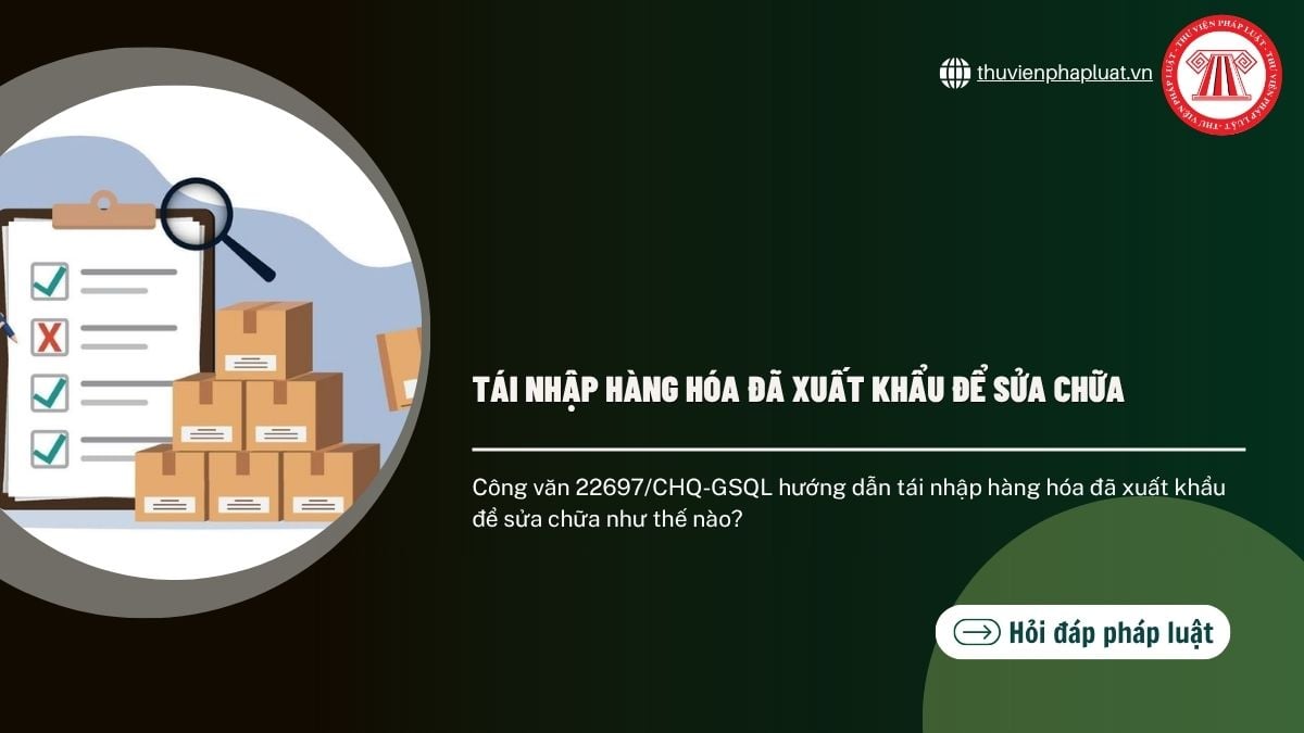 Hỏi đáp Pháp luật