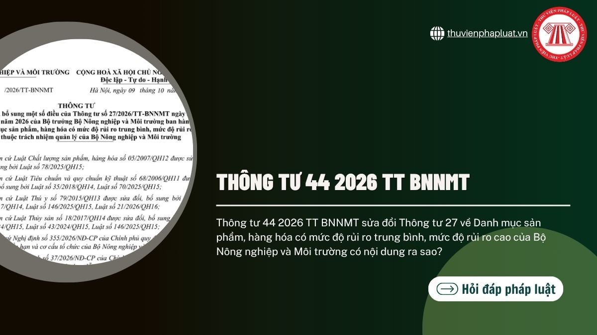 Hỏi đáp Pháp luật